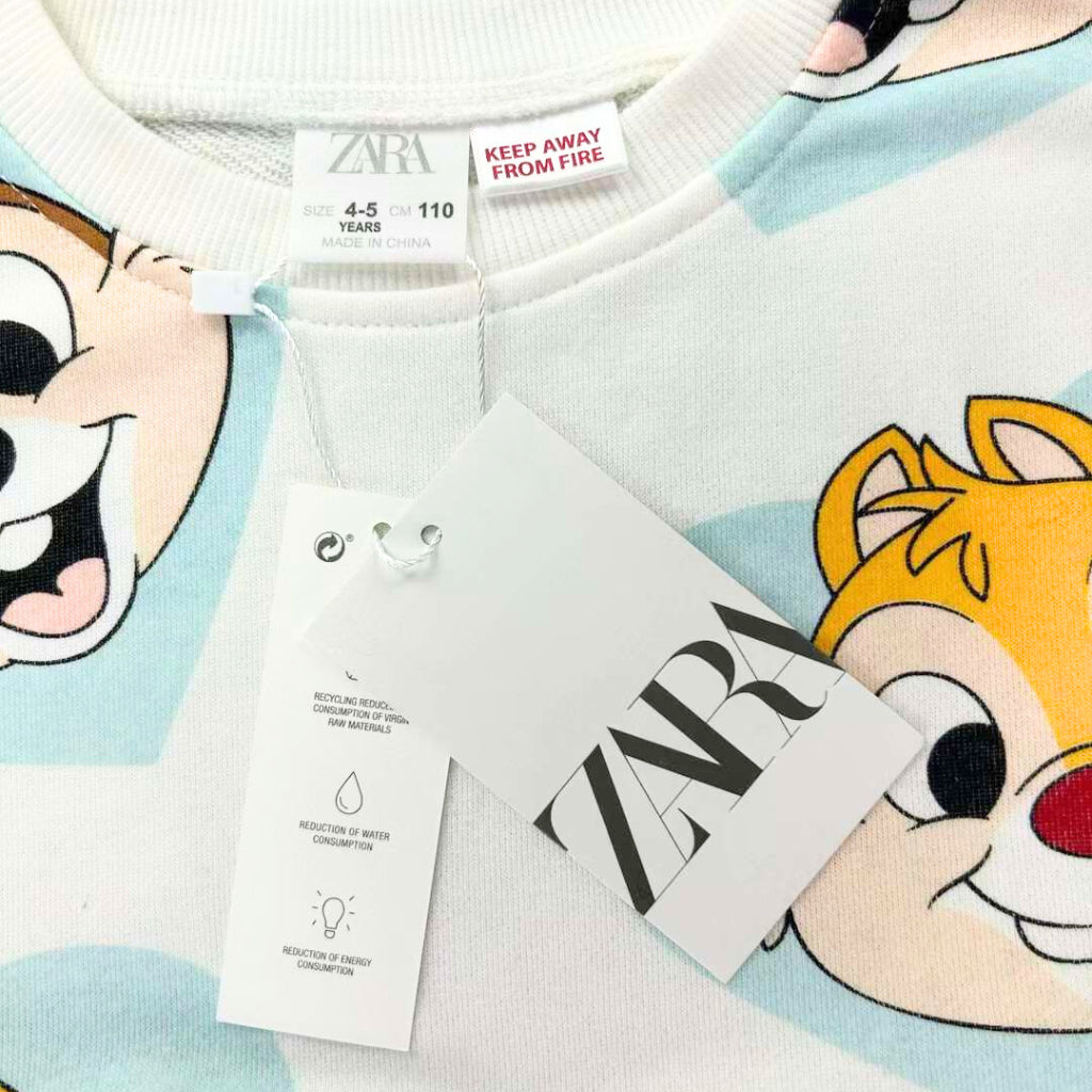 Fashionable zara Sweatshirt and Leggings Coord for Girls 2-8 Years Old