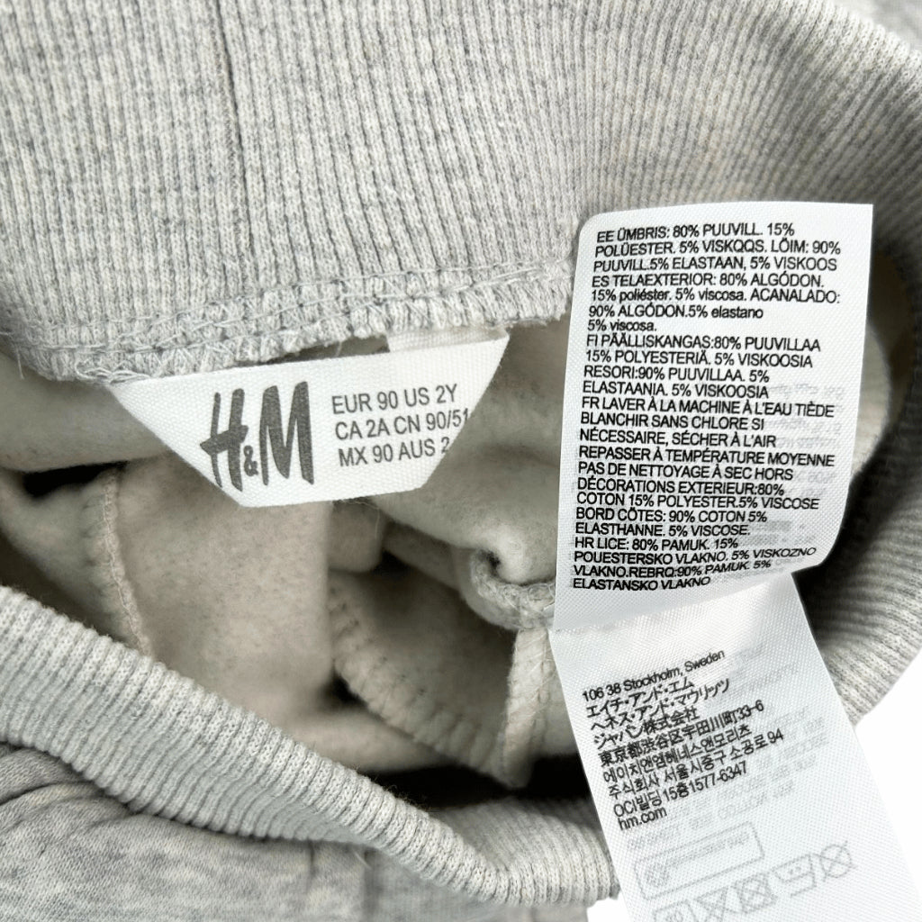 Sonic Gray Jacket and Jogger Pants Set for Boys | 2-Piece Tracksuit Outfit (2-6 Years) SS476