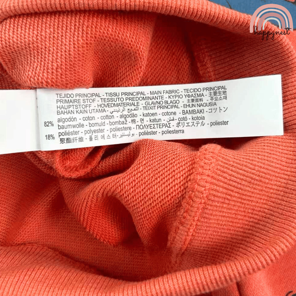 Dinosaur Orange Tracksuit Boys Sweatshirt + Jogger Pants 2-8 Years Old SS502