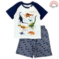 Dinosaur White Shirt + Shorts Set for Boys 2-10 Years AA125