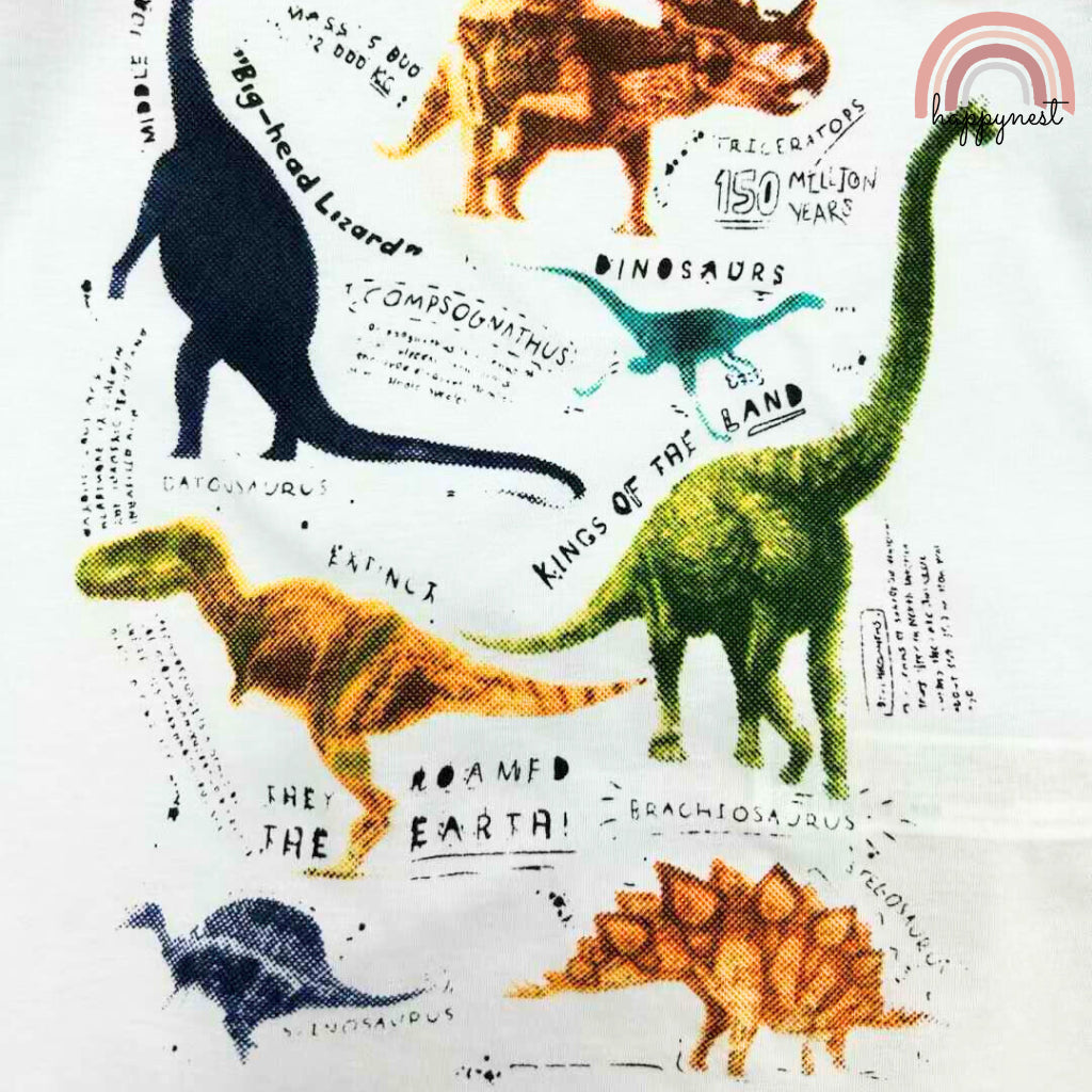 Dinosaur White Shirt + Shorts Set for Boys 2-10 Years AA125