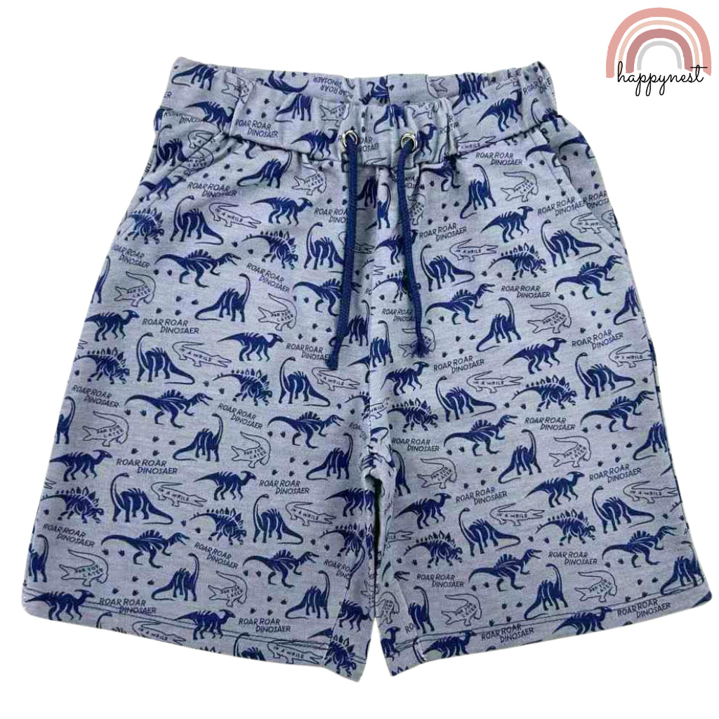 Dinosaur White Shirt + Shorts Set for Boys 2-10 Years AA125