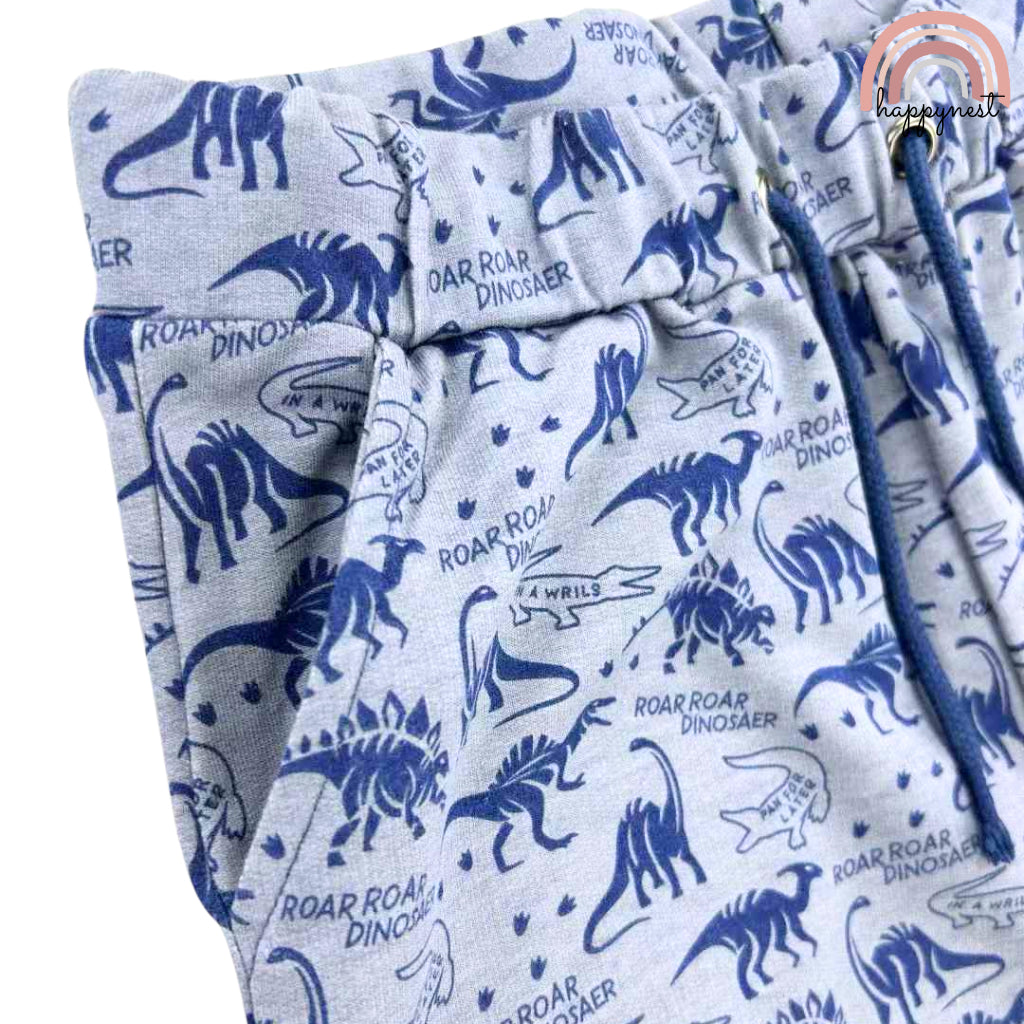 Dinosaur White Shirt + Shorts Set for Boys 2-10 Years AA125