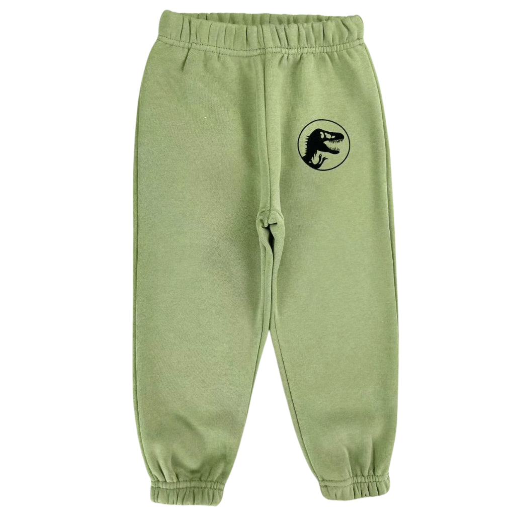 Dino Tracksuit Hoodie & Jogger Set for Boys (2-8 Years) | SS543