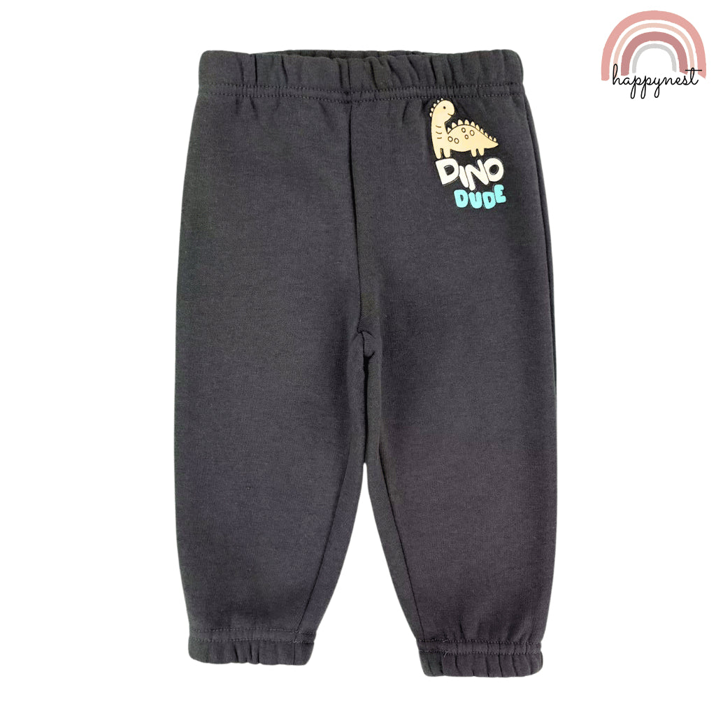 Dinosaur Grey Sweatshirt & Pants Set for Boys 6-36M SS639