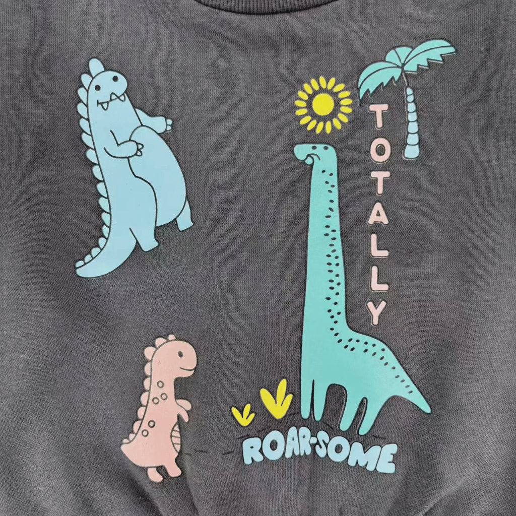 Dinosaur Grey Sweatshirt & Pants Set for Boys 6-36M SS639
