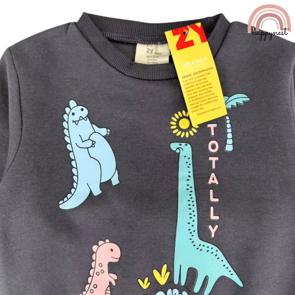 Dinosaur Grey Sweatshirt & Pants Set for Boys 6-36M SS639
